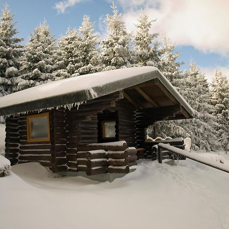Modern & Vintage Bocksbergblick Ferienpark Hahnenklee Γκόσλαρ Εξωτερικό φωτογραφία