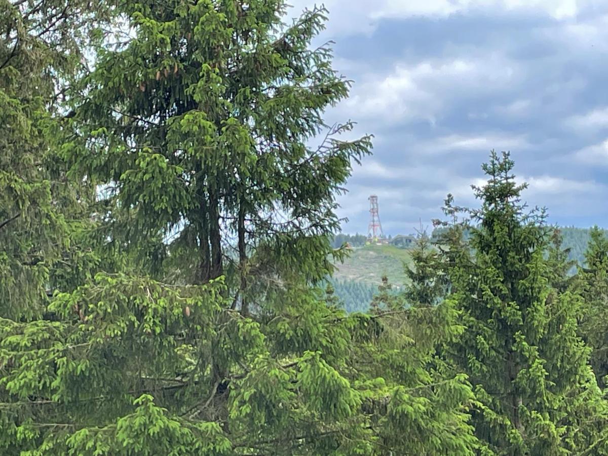 Modern & Vintage Bocksbergblick Ferienpark Hahnenklee Γκόσλαρ Εξωτερικό φωτογραφία