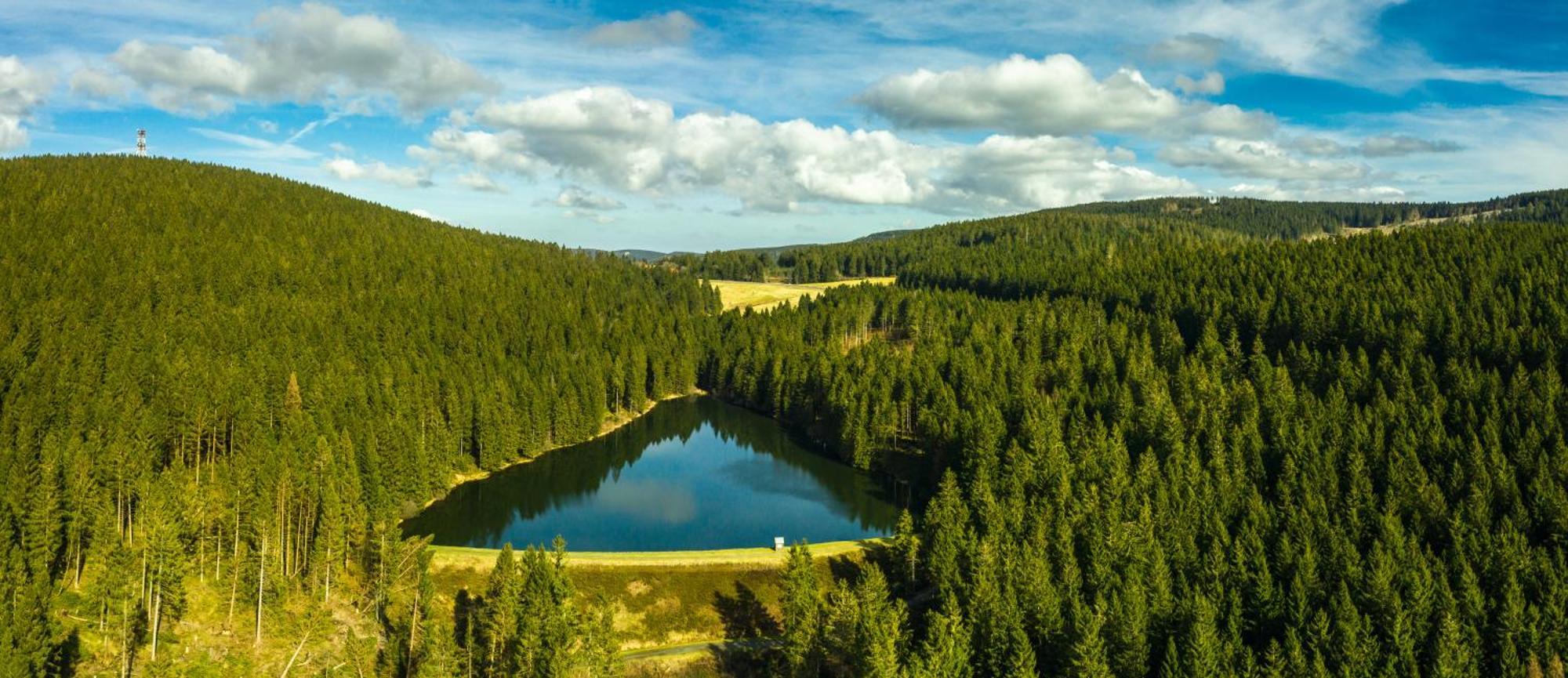 Modern & Vintage Bocksbergblick Ferienpark Hahnenklee Γκόσλαρ Εξωτερικό φωτογραφία